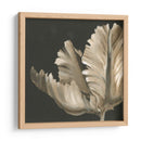 Floraciones Clásicas Ii - Ethan Harper | Cuadro decorativo de Canvas Lab