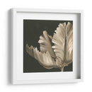 Floraciones Clásicas Ii - Ethan Harper | Cuadro decorativo de Canvas Lab