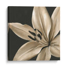 Floraciones Clásicas Iii - Ethan Harper | Cuadro decorativo de Canvas Lab