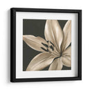 Floraciones Clásicas Iii - Ethan Harper | Cuadro decorativo de Canvas Lab