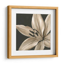 Floraciones Clásicas Iii - Ethan Harper | Cuadro decorativo de Canvas Lab