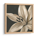 Floraciones Clásicas Iii - Ethan Harper | Cuadro decorativo de Canvas Lab