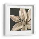 Floraciones Clásicas Iii - Ethan Harper | Cuadro decorativo de Canvas Lab