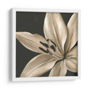 Floraciones Clásicas Iii - Ethan Harper | Cuadro decorativo de Canvas Lab