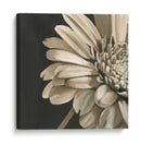 Floraciones Clásicas Iv - Ethan Harper | Cuadro decorativo de Canvas Lab