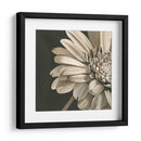 Floraciones Clásicas Iv - Ethan Harper | Cuadro decorativo de Canvas Lab