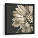 Floraciones Clásicas Iv - Ethan Harper | Cuadro decorativo de Canvas Lab