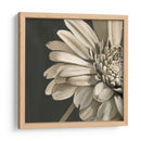 Floraciones Clásicas Iv - Ethan Harper | Cuadro decorativo de Canvas Lab