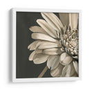 Floraciones Clásicas Iv - Ethan Harper | Cuadro decorativo de Canvas Lab