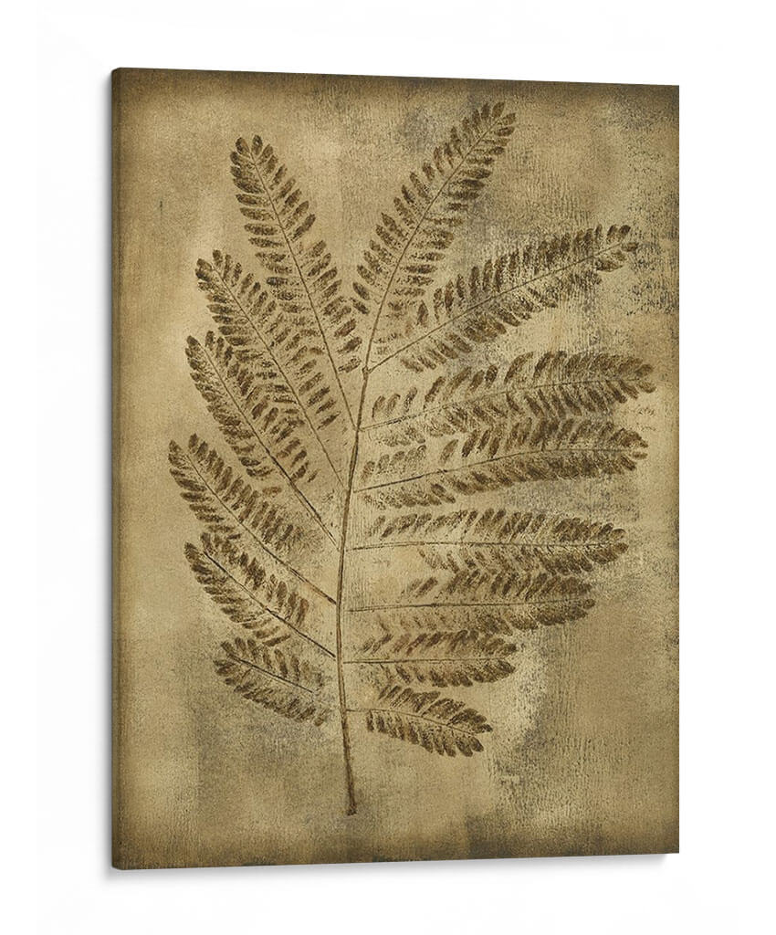 Sepia Empapada Fern Ii - Nancy Slocum | Cuadro decorativo de Canvas Lab