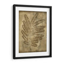 Sepia Empapada Fern Ii - Nancy Slocum | Cuadro decorativo de Canvas Lab