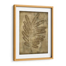 Sepia Empapada Fern Ii - Nancy Slocum | Cuadro decorativo de Canvas Lab