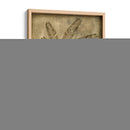 Sepia Empapada Fern Ii - Nancy Slocum | Cuadro decorativo de Canvas Lab