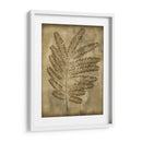 Sepia Empapada Fern Ii - Nancy Slocum | Cuadro decorativo de Canvas Lab