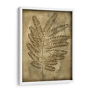 Sepia Empapada Fern Ii - Nancy Slocum | Cuadro decorativo de Canvas Lab