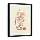 Sombras De Coral I - Vision Studio | Cuadro decorativo de Canvas Lab