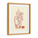 Sombras De Coral I - Vision Studio | Cuadro decorativo de Canvas Lab