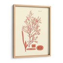 Sombras De Coral I - Vision Studio | Cuadro decorativo de Canvas Lab
