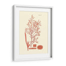Sombras De Coral I - Vision Studio | Cuadro decorativo de Canvas Lab