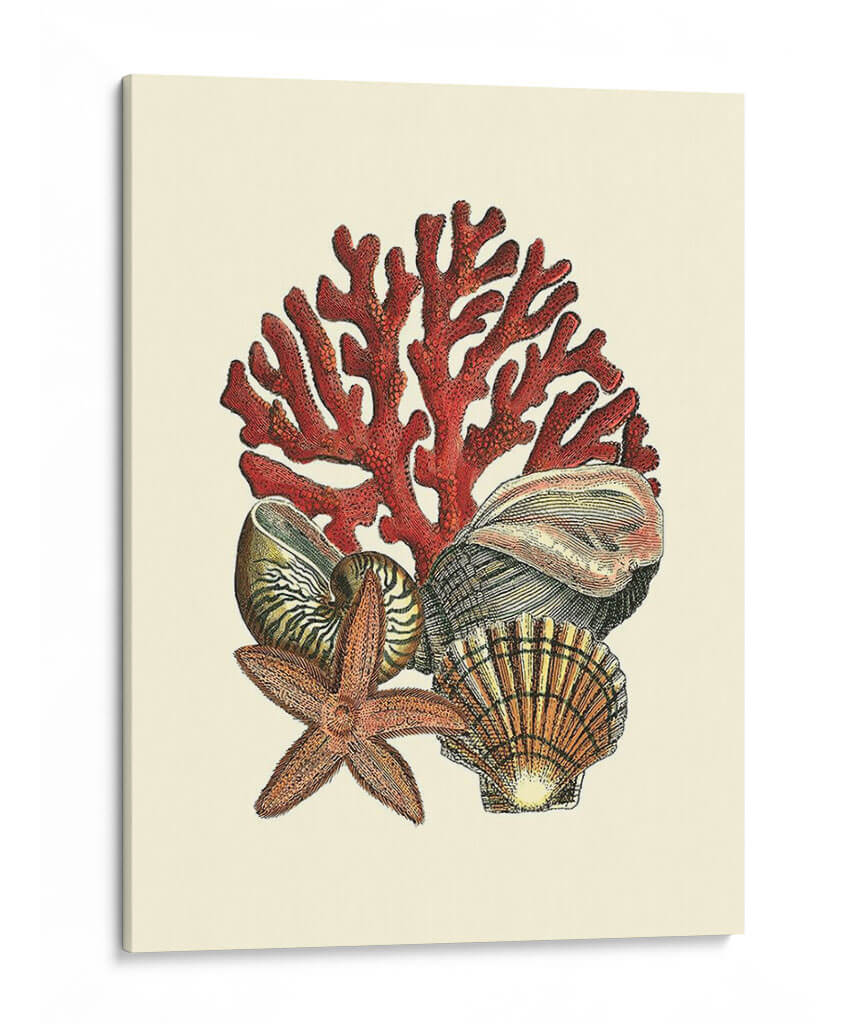 Coral Medley I - Vision Studio | Cuadro decorativo de Canvas Lab