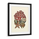 Coral Medley I - Vision Studio | Cuadro decorativo de Canvas Lab