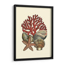 Coral Medley I - Vision Studio | Cuadro decorativo de Canvas Lab