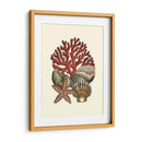 Coral Medley I - Vision Studio | Cuadro decorativo de Canvas Lab