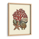 Coral Medley I - Vision Studio | Cuadro decorativo de Canvas Lab