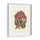 Coral Medley I - Vision Studio | Cuadro decorativo de Canvas Lab
