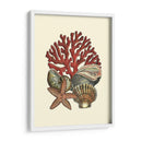 Coral Medley I - Vision Studio | Cuadro decorativo de Canvas Lab