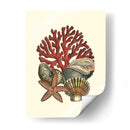 Coral Medley I - Vision Studio | Cuadro decorativo de Canvas Lab