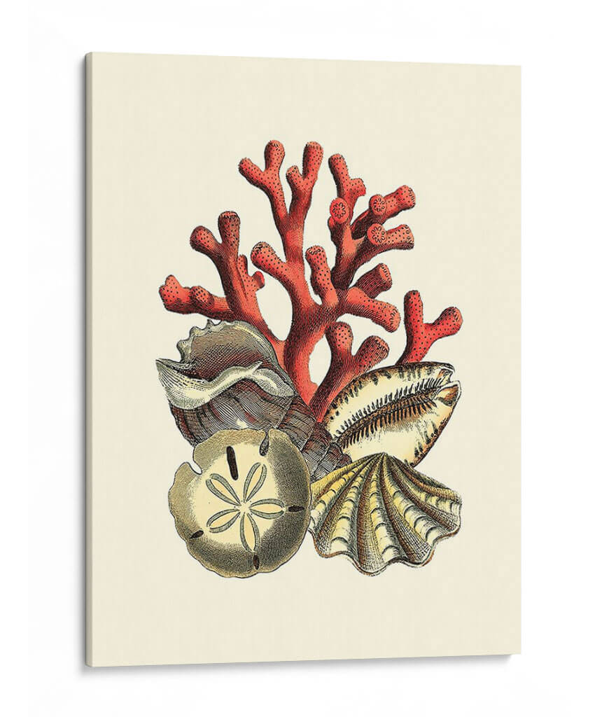 Coral Medley Ii - Vision Studio | Cuadro decorativo de Canvas Lab