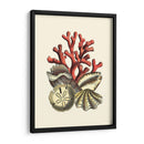 Coral Medley Ii - Vision Studio | Cuadro decorativo de Canvas Lab