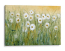 Daisy Spring I - Tim OToole | Cuadro decorativo de Canvas Lab