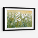 Daisy Spring I - Tim OToole | Cuadro decorativo de Canvas Lab