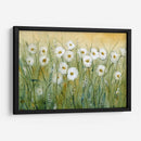 Daisy Spring I - Tim OToole | Cuadro decorativo de Canvas Lab