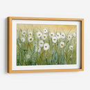 Daisy Spring I - Tim OToole | Cuadro decorativo de Canvas Lab
