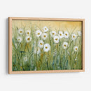 Daisy Spring I - Tim OToole | Cuadro decorativo de Canvas Lab