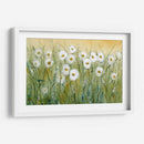 Daisy Spring I - Tim OToole | Cuadro decorativo de Canvas Lab