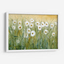 Daisy Spring I - Tim OToole | Cuadro decorativo de Canvas Lab