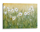 Daisy Spring Ii - Tim OToole | Cuadro decorativo de Canvas Lab
