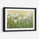 Daisy Spring Ii - Tim OToole | Cuadro decorativo de Canvas Lab
