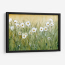Daisy Spring Ii - Tim OToole | Cuadro decorativo de Canvas Lab