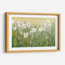 Daisy Spring Ii - Tim OToole | Cuadro decorativo de Canvas Lab