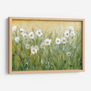 Daisy Spring Ii - Tim OToole | Cuadro decorativo de Canvas Lab