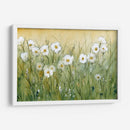 Daisy Spring Ii - Tim OToole | Cuadro decorativo de Canvas Lab