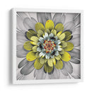 Floraciones Fractales Iv - James Burghardt | Cuadro decorativo de Canvas Lab