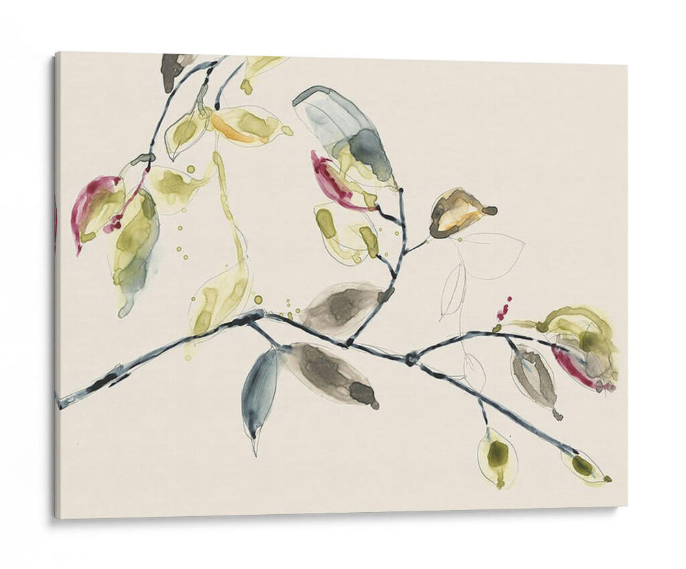 Rama De Hojas Ii - Jennifer Goldberger | Cuadro decorativo de Canvas Lab