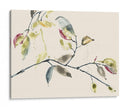 Rama De Hojas Ii - Jennifer Goldberger | Cuadro decorativo de Canvas Lab