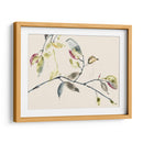 Rama De Hojas Ii - Jennifer Goldberger | Cuadro decorativo de Canvas Lab